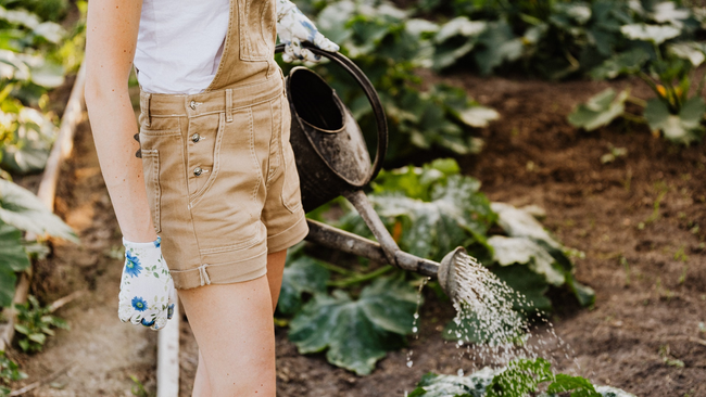 Photo of a person holding a watering can in a garden